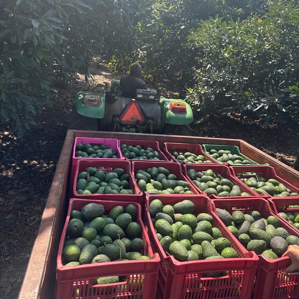 Services 325d6ce7 5b42 4b6e 80c8 f8ab9b8c060c