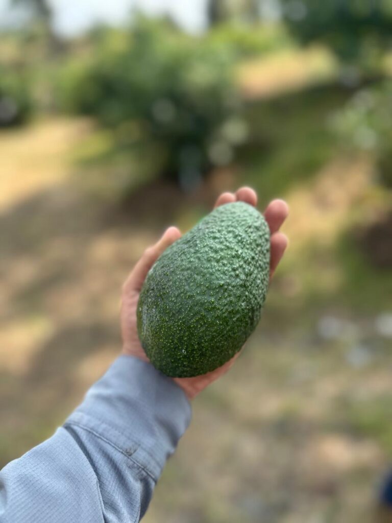 Services 64100982 b009 4963 b5ed 41ecd3bc52e7