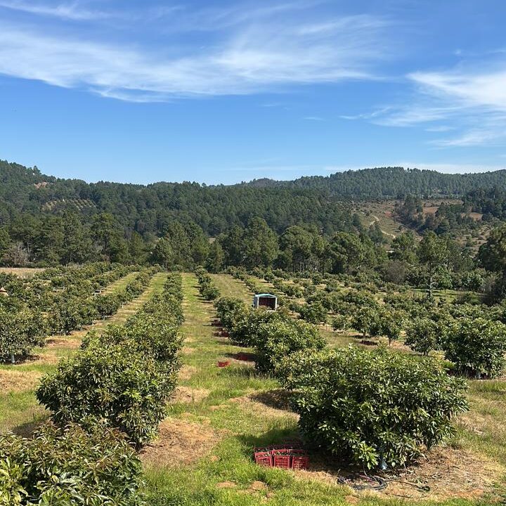 9498bb62 08c5 45be a496 a3ad42fcb91f