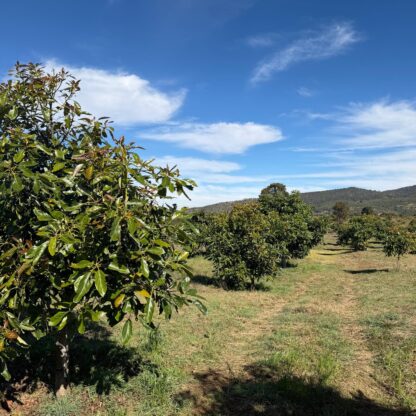 be6211a3 b943 406d b8da fec9a0530ad3