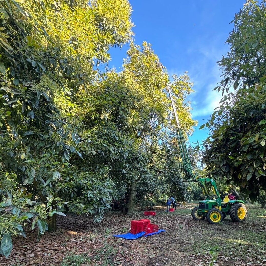 d3c324ec db06 4d2a b198 2e3b0938e293